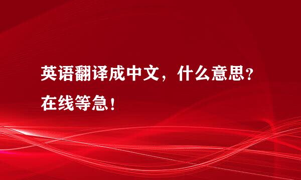 英语翻译成中文，什么意思？在线等急！