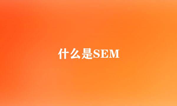 什么是SEM