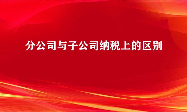 分公司与子公司纳税上的区别