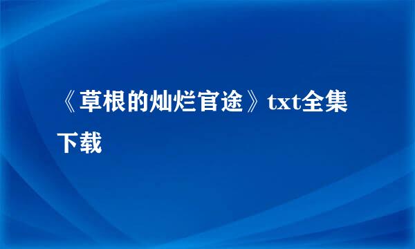 《草根的灿烂官途》txt全集下载