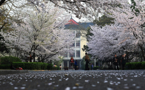 南京林业大学淮安校区到底怎么样？