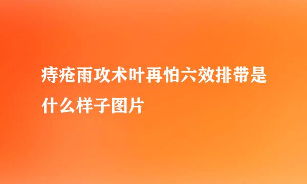 痔疮雨攻术叶再怕六效排带是什么样子图片