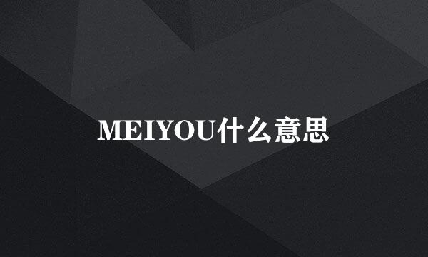 MEIYOU什么意思