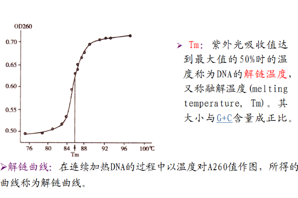 怎么计算Tm值