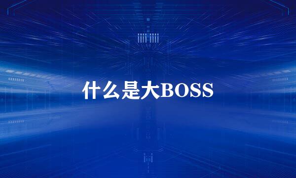 什么是大BOSS