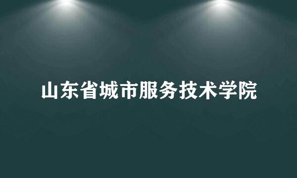 山东省城市服务技术学院