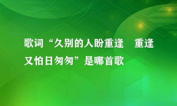 歌词“久别的人盼重逢 重逢又怕日匆匆”是哪首歌