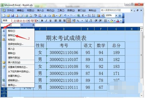 怎样在excel中复制工作表，要格式一样的。