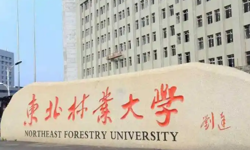 哈尔滨有哪些大学