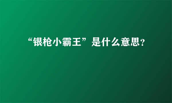 “银枪小霸王”是什么意思？