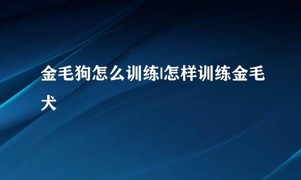 金毛狗怎么训练|怎样训练金毛犬