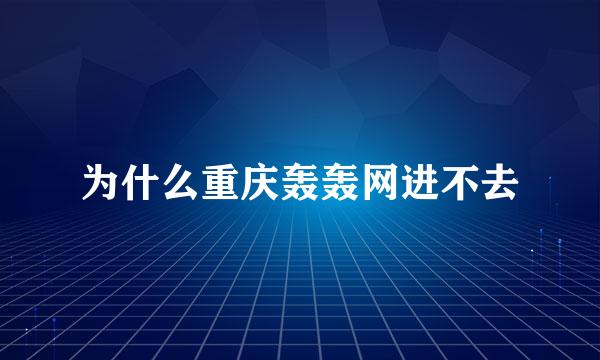 为什么重庆轰轰网进不去