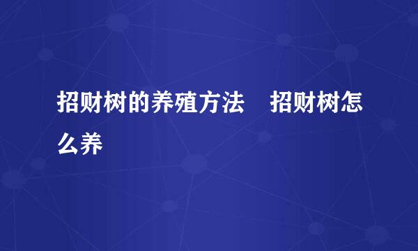 招财树的养殖方法 招财树怎么养