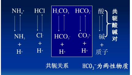 共轭酸碱对是什么?能举例子吗?