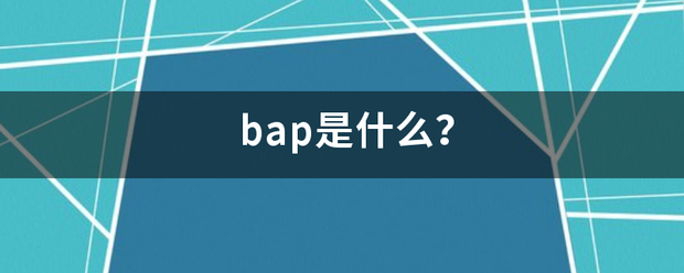 bap是什么？