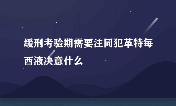 缓刑考验期需要注同犯革特每西液决意什么