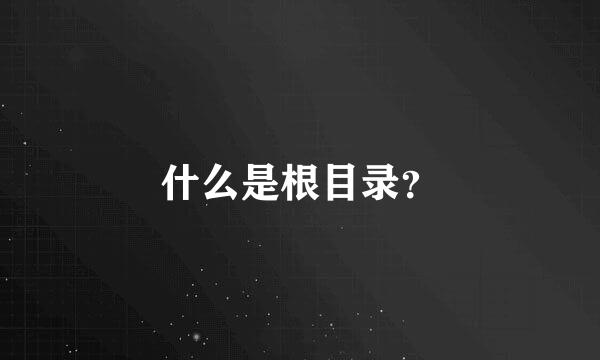 什么是根目录？