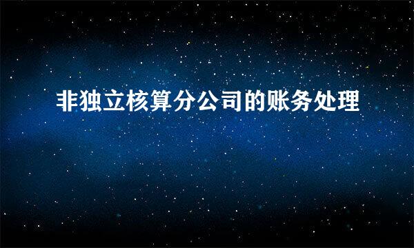 非独立核算分公司的账务处理