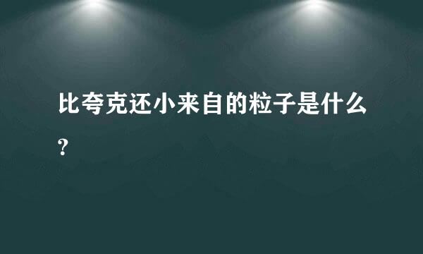 比夸克还小来自的粒子是什么？