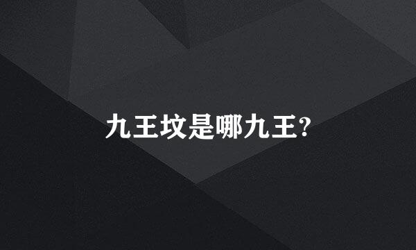 九王坟是哪九王?