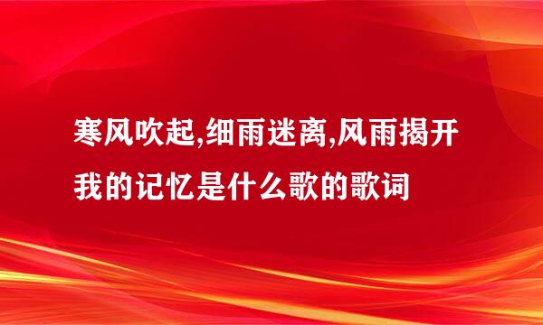 寒风吹起,细雨迷离,风雨揭开我的记忆是什么歌的歌词