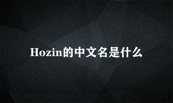 Hozin的中文名是什么