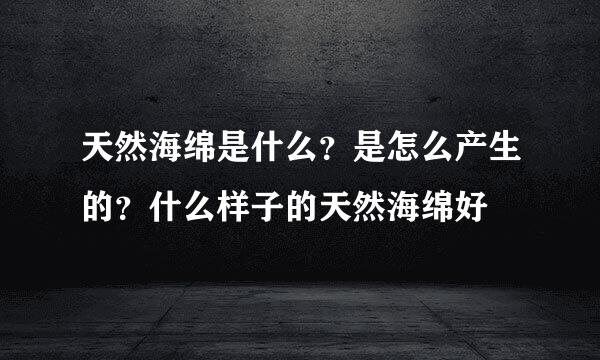 天然海绵是什么？是怎么产生的？什么样子的天然海绵好