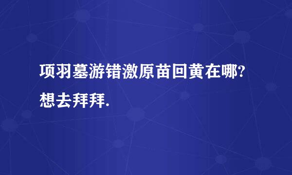 项羽墓游错激原苗回黄在哪?想去拜拜.