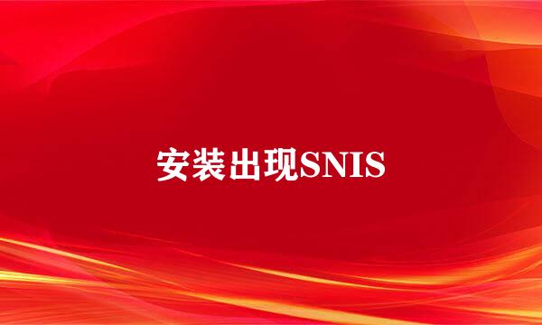 安装出现SNIS