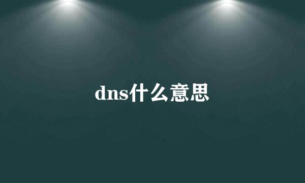 dns什么意思