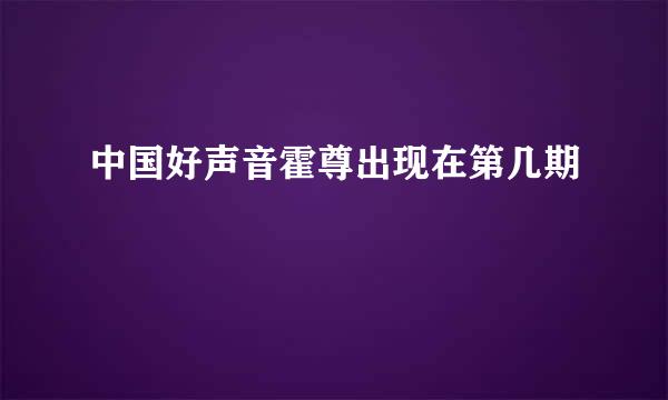 中国好声音霍尊出现在第几期