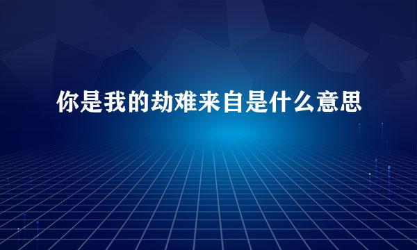 你是我的劫难来自是什么意思