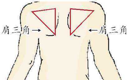 腹股沟三角名词解释