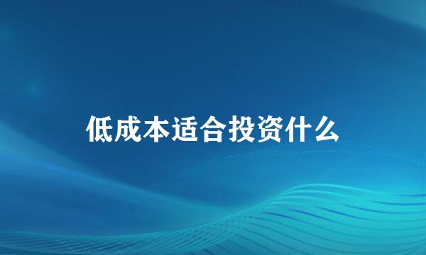 低成本适合投资什么