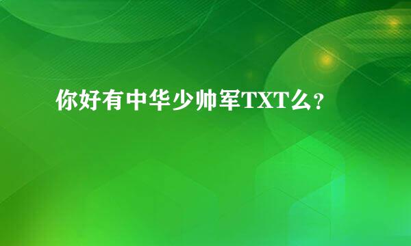 你好有中华少帅军TXT么？