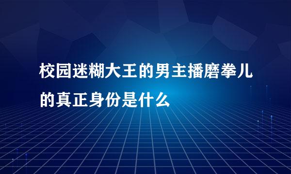 校园迷糊大王的男主播磨拳儿的真正身份是什么