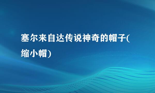 塞尔来自达传说神奇的帽子(缩小帽)