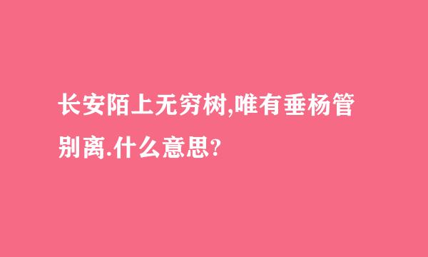 长安陌上无穷树,唯有垂杨管别离.什么意思?