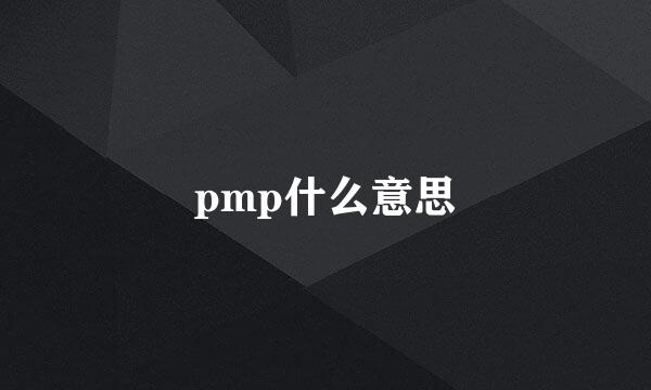 pmp什么意思