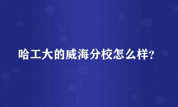 哈工大的威海分校怎么样？