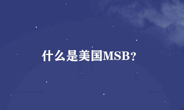 什么是美国MSB？