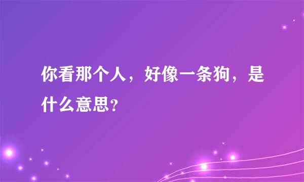 你看那个人，好像一条狗，是什么意思？