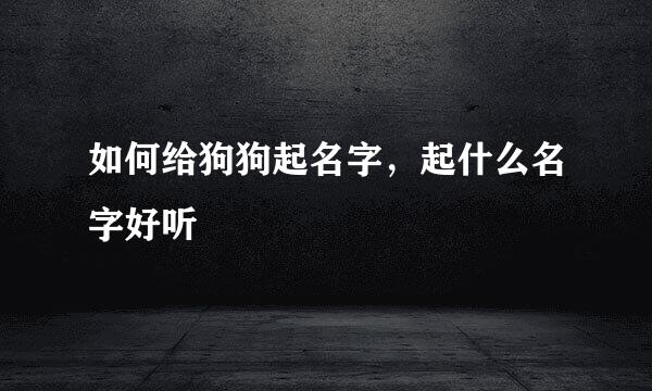 如何给狗狗起名字，起什么名字好听