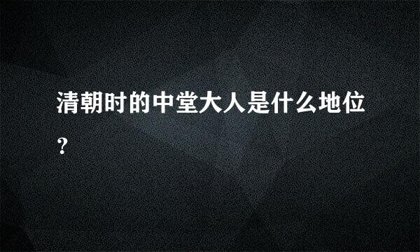 清朝时的中堂大人是什么地位？