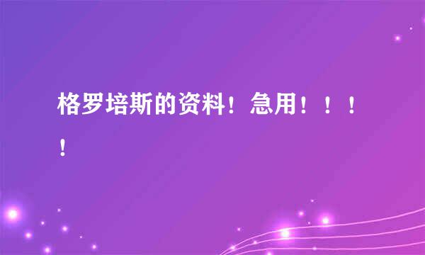 格罗培斯的资料！急用！！！！