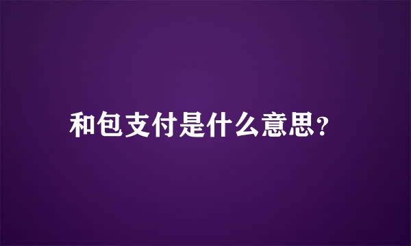 和包支付是什么意思？