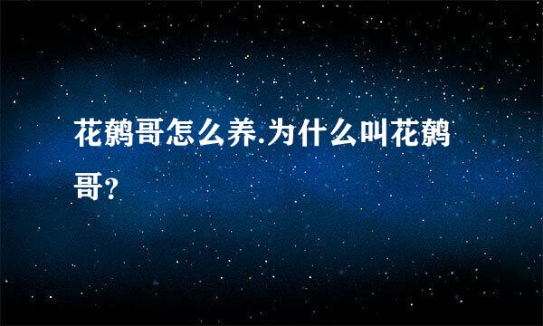 花鹩哥怎么养.为什么叫花鹩哥？