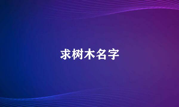 求树木名字