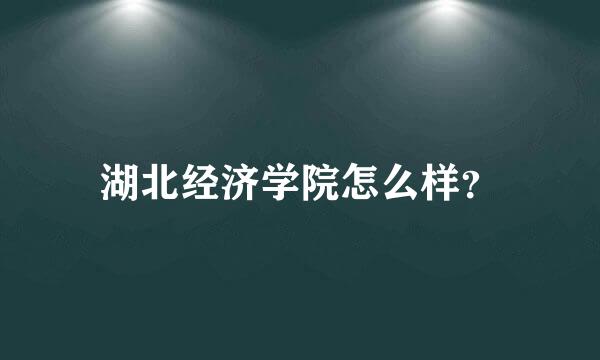 湖北经济学院怎么样？