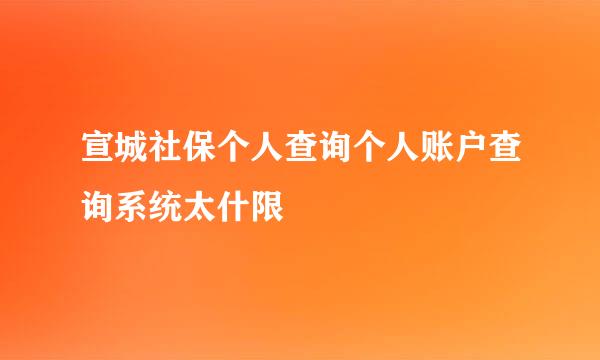 宣城社保个人查询个人账户查询系统太什限